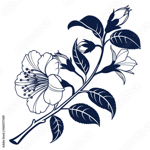  camelia japonica lavinia maggi with leaves