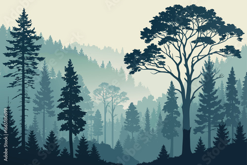 Ethereal forest shrouded in mist, silhouetted trees evoke mystery.