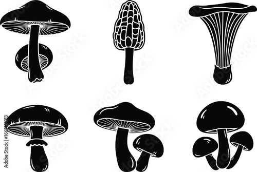 Collection of hand drawn mushroom silhouettes representing various fungal species for design projects