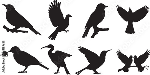 Set of different bird silhouettes vector with flying sitting and decorative poses