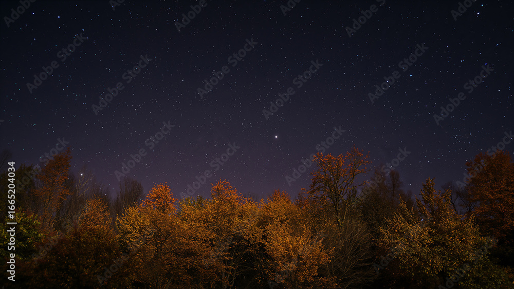 Fototapeta premium Starry sky above an autumn forest evoking deep serenity