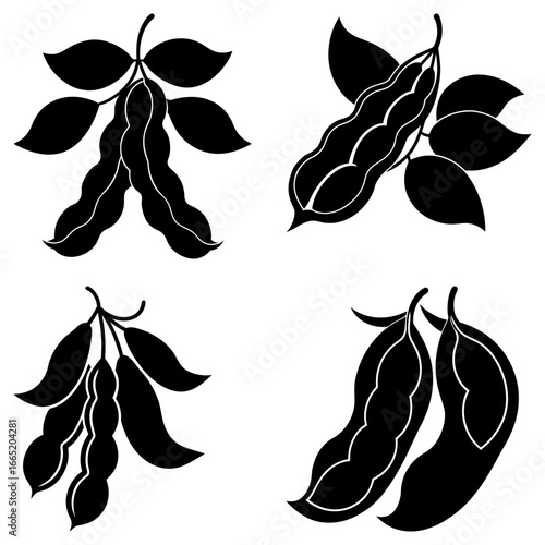 Four black and white bean pod illustrations with leaves in a symmetrical arrangement of plant motifs