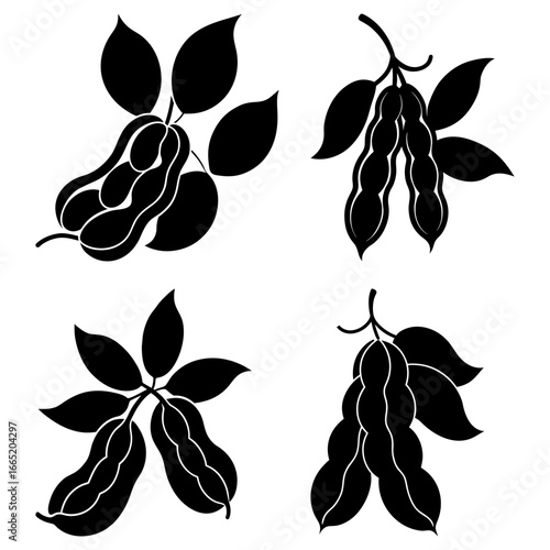 Four stylized black and white illustrations of bean pods with leaves on a white background design art