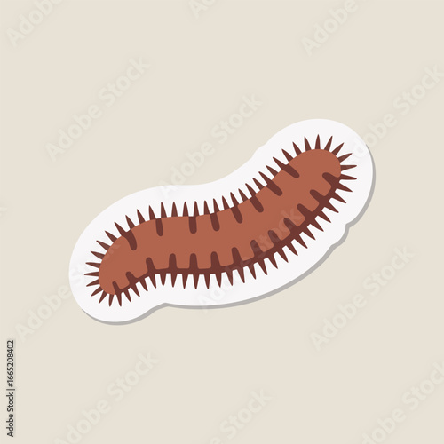 A brown sea cucumber sticker with a white outline, showcasing a unique marine animal from the ocean on a neutral background, perfect for educational materials