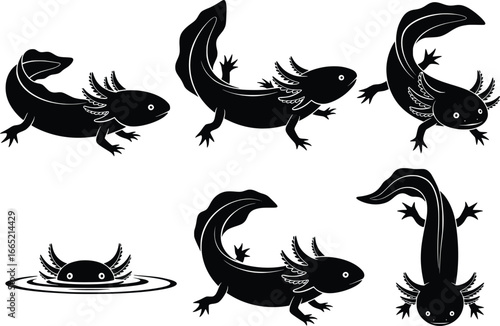 Set of six silhouette axolotl designs showing various poses and aquatic movements