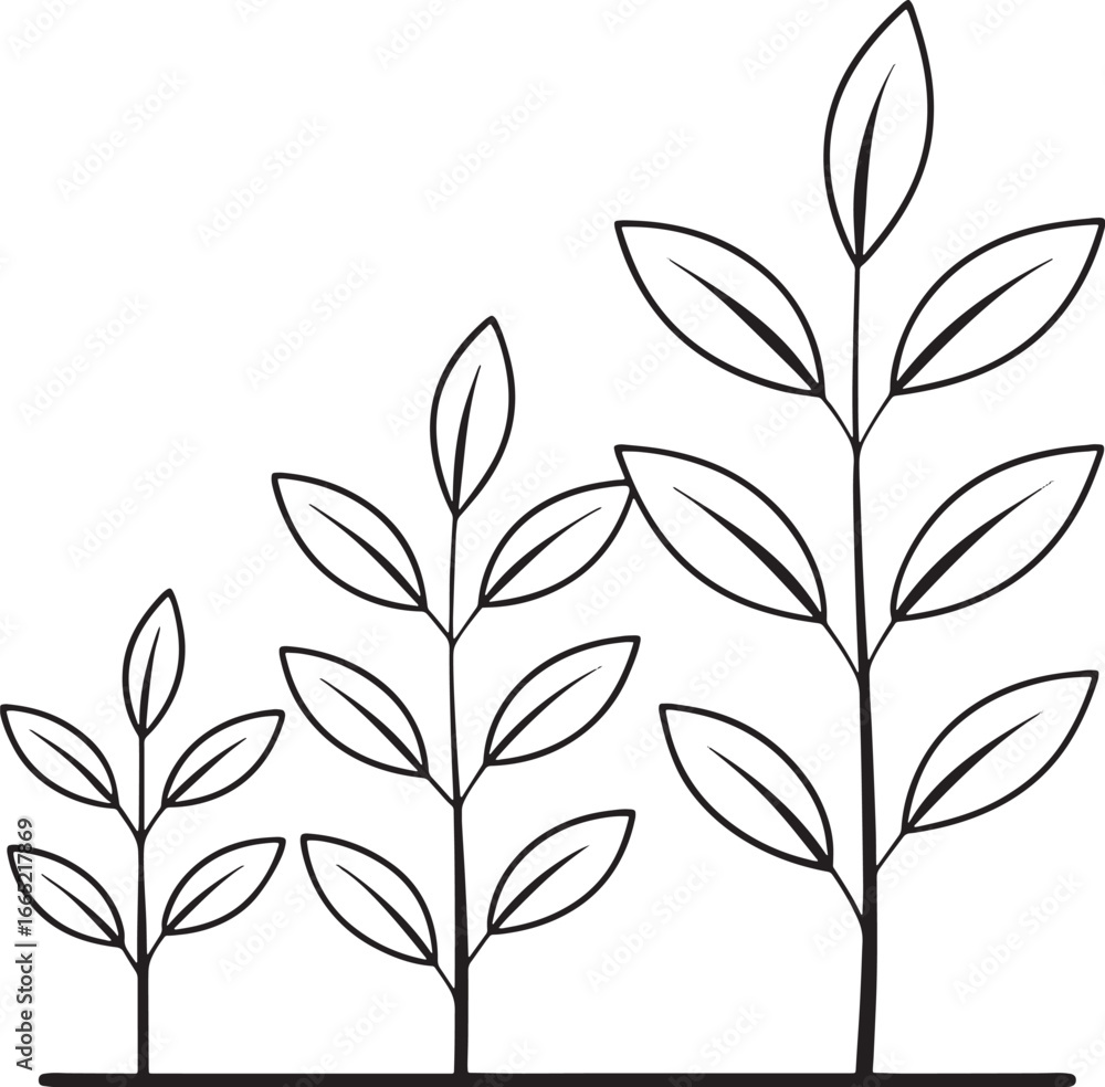 Fototapeta premium Plant Growth Stages