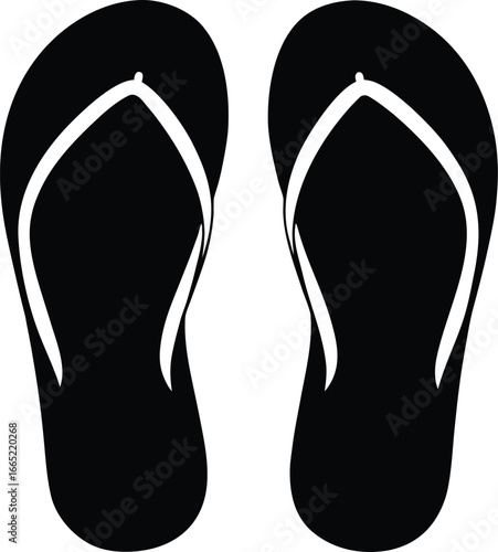 Flip-Flops Icon
