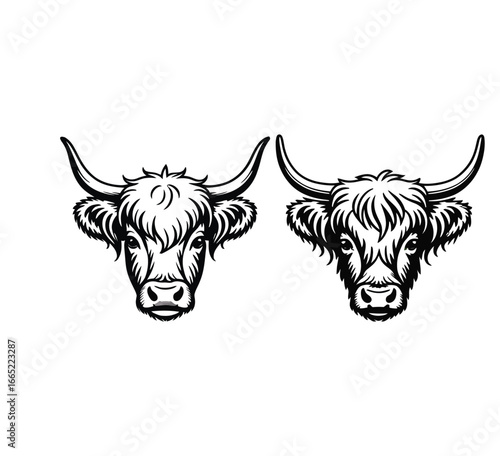 Black and white line art illustration of two Highland cow heads with wooden plank background and oak leaf frame