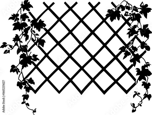 Floral Vine on Trellis  Vector  graphics art