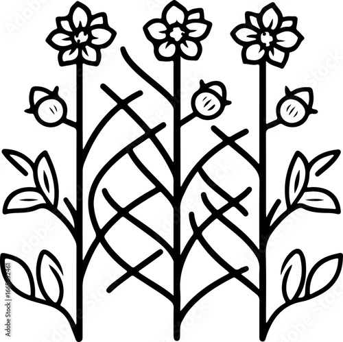 Floral Vine on Trellis  Vector  graphics art