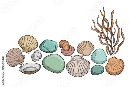 Colorful Seashells and Beach Stones Isolated on White Background for Summer Vacation and Coastal Decor Projects