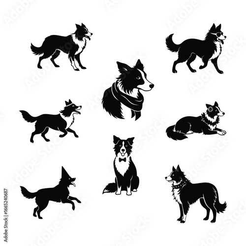 border collie silhouette dog different poses linocut style vector illustration on white background