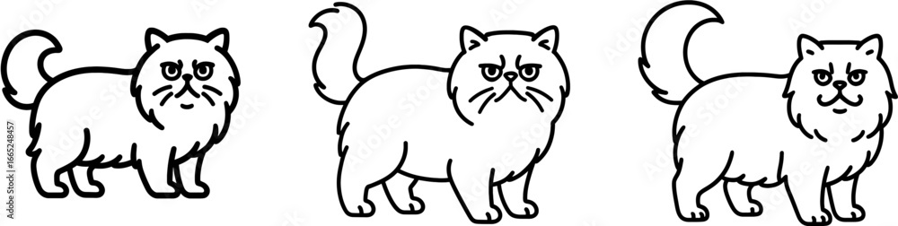 Fototapeta premium Persian cat standing side view outline vector