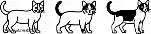 Snowshoe cat full body standing side view outline vector