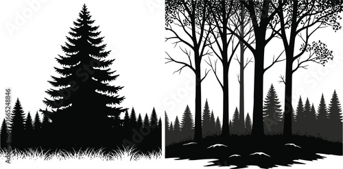 Silhouette illustration showing a coniferous forest and deciduous trees against a white background