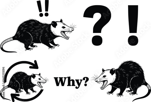 Playful opossum characters expressing surprise and questioning with text elements