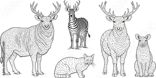 A black and white drawing featuring a variety of animals including deer zebra cat and kangaroo
