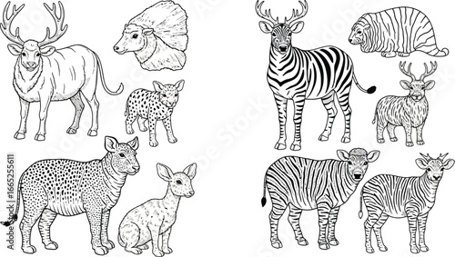 Black and white line art drawing of various animals including deer zebra and spotted creatures in groups