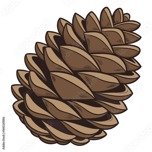 Detailed pine cone illustration isolated on white background isolated on transparent background