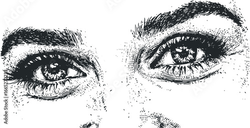 Close up ink sketch of a woman's expressive eyes and eyebrows