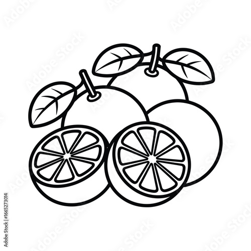 Black and white illustration of fresh oranges with leaves and slices
