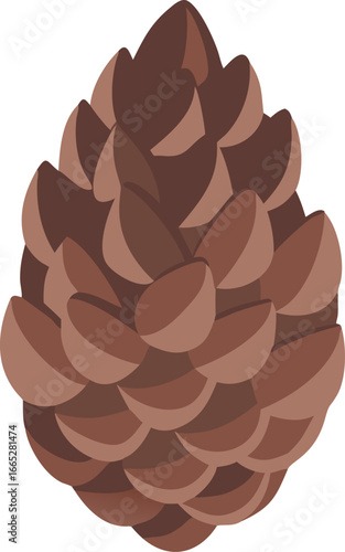 Detailed pine cone illustration isolated on white background isolated on transparent background