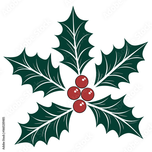 Festive holly leaves with bright red berries isolated on white background isolated on transparent background