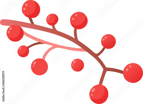Elegant winter berry branch with red berries isolated on white background isolated on transparent background