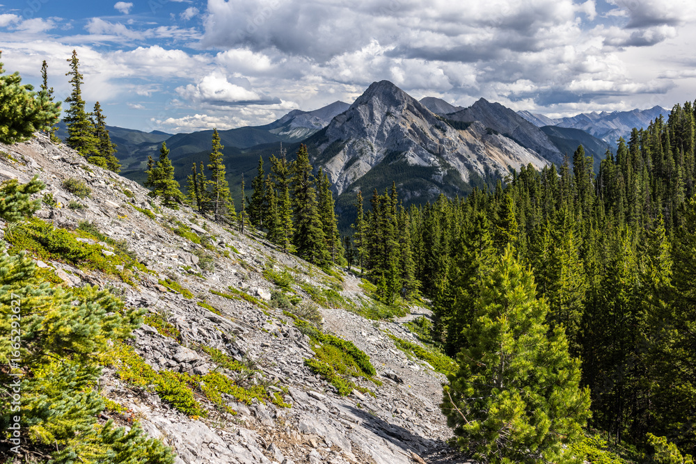 Obraz premium Mountain Landscape in Kananaskis Country with Expansive Forest