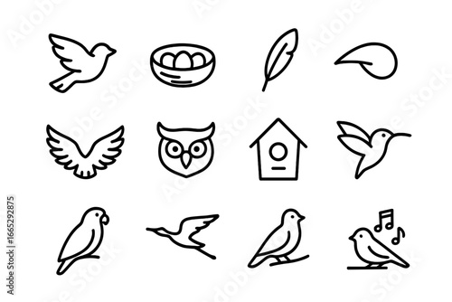 Bird Line Art Icons. Line style icons of birds and flight: bird flying, nest with eggs, feather icon, beak symbol, eagle wings,