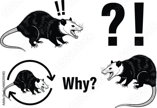 Humorous opossum designs expressing confusion and surprise with exclamations and question marks