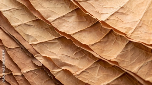 Wallpaper Mural layered wrinkled kraft paper with warm earthy tones Torontodigital.ca