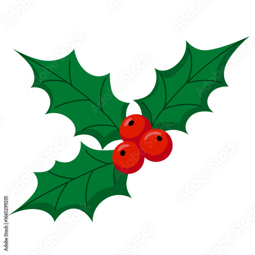 Cute holly isolated on white background. Vector illustration. Attribute of the winter holiday