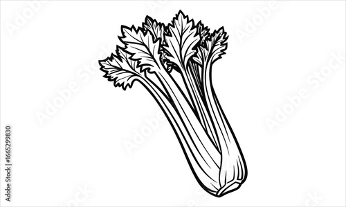 Creative celery t shirt design silhouette and vector line art, beautiful detailed illustration, perfect for stress relief, art therapy, relaxation, adult coloring books, printable use.