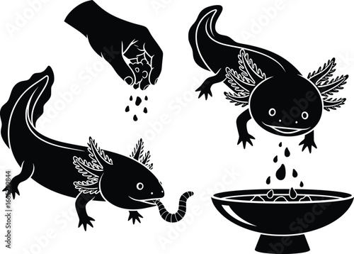 Charming axolotl silhouette set hand feeding and swimming in water for pet lovers cute amphibian designs