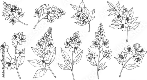 Set of limonium flowers. Hand drawn line leaves branches and blooming. Wedding elegant wildflowers for invitation save the date card. Vector trendy
