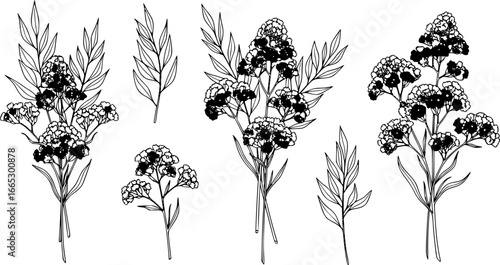 Floral bakground or wallpaper with tender flowers and leaves. Botanical foliage for wedding invitation or wall art. Vector illustration
