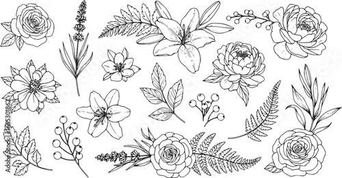 Set of detailed various flowers and foliage, intricate details and delicate forms. Hand drawn vector illustration with elegant botanical elements for invitation, save the date card