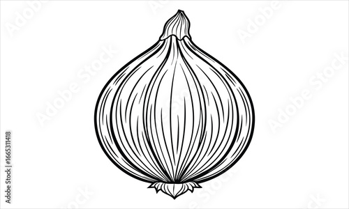 Unique onion t shirt design silhouette and vector line art, beautiful detailed line illustration, perfect for relaxation, stress relief, wellness, art therapy, adult coloring pages.