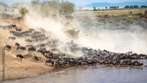 Bilde på lerret Great Migration in der Masai Mara, Kenia