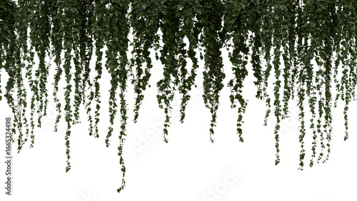 A bunch of green leaves hanging from a tree branch