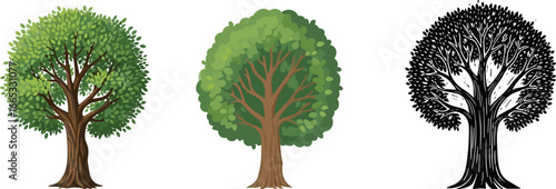Set of three stylized tree illustrations showing different artistic styles: detailed, simplified, and silhouette, ideal for design and nature themes.