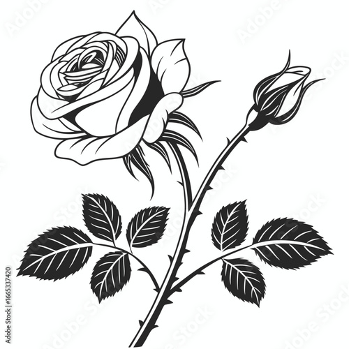 Elegant Black and White Rose Illustration with Bud and Leaves on White Background