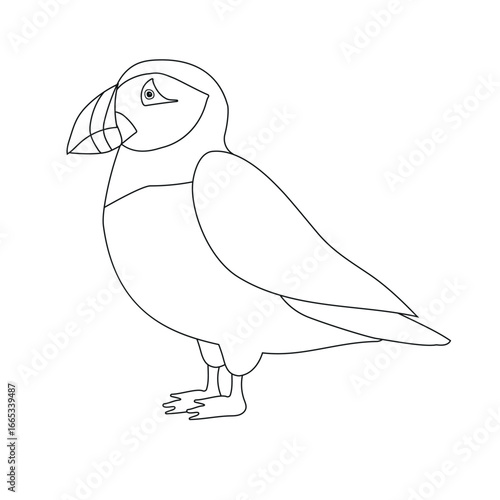 Vector flat puffin bird isolated on white background
