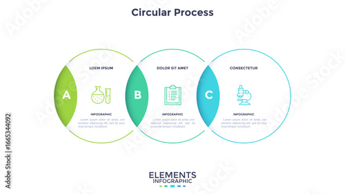 Modern Business Infographic Vector Banner