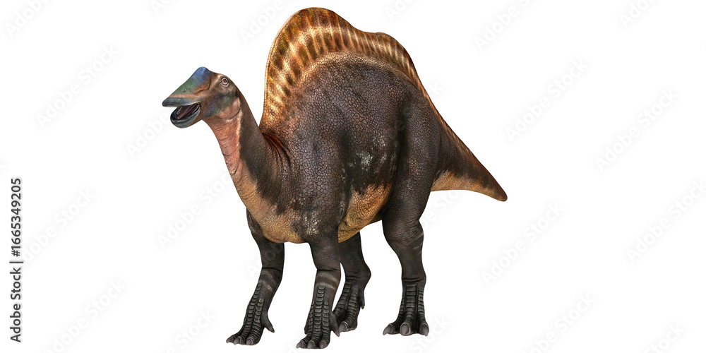 Fototapeta premium Spinosaurus in a lifelike pose against white background.