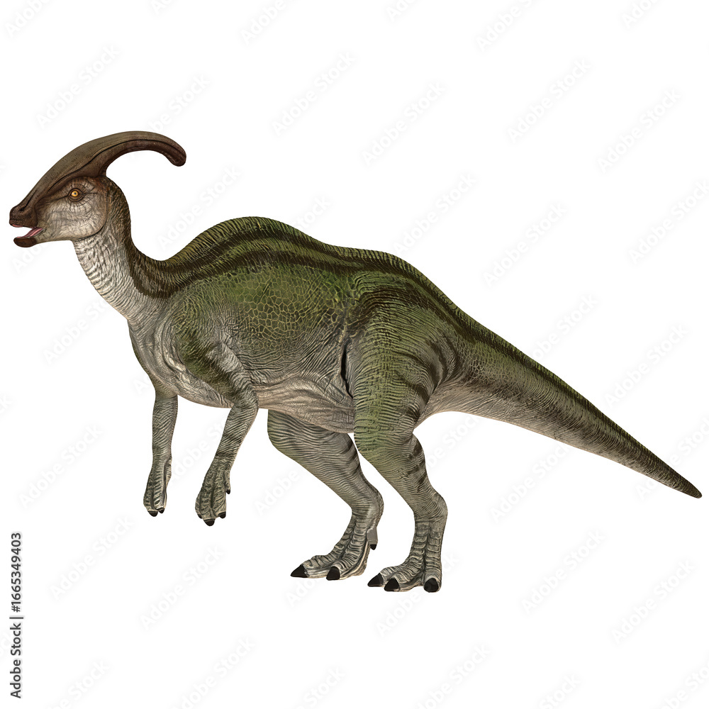Parasaurolophus dinosaur in a realistic pose Parasaurolophus dinosaur in a realistic pose