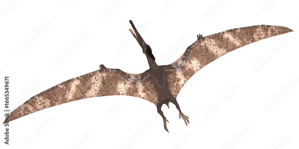 Fototapeta premium Illustration of a large prehistoric flying reptile.
