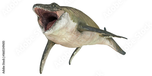 Photography Majestic Mosasaurus displaying powerful jaws.
