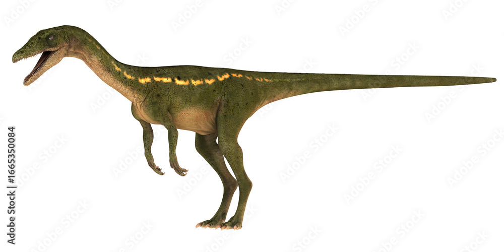 Obraz premium Green dinosaur on white background